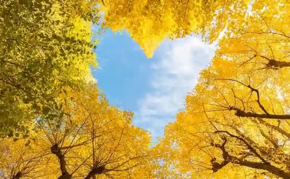 女人这些价值观 男人简直无法理解