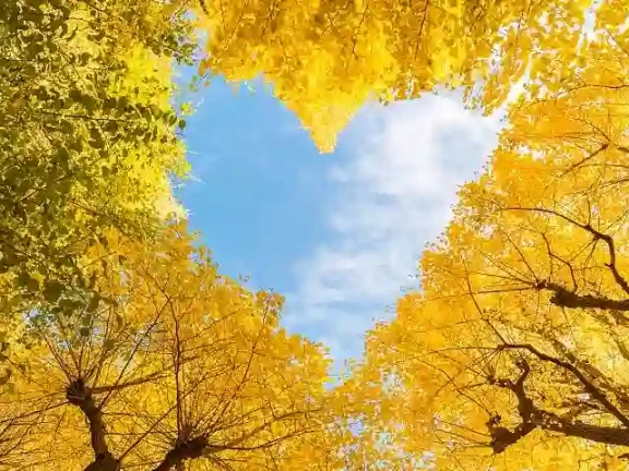 女人这些价值观 男人简直无法理解